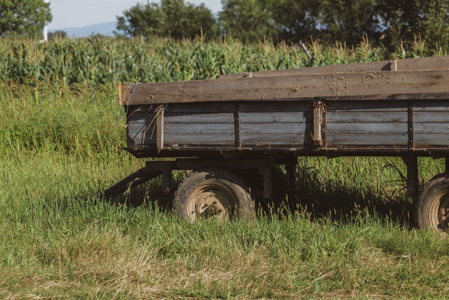 Carretas agrícolas em propriedade rural